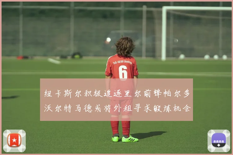 纽卡斯尔积极追逐里尔前锋帕尔多沃尔特马德或将外租寻求锻炼机会